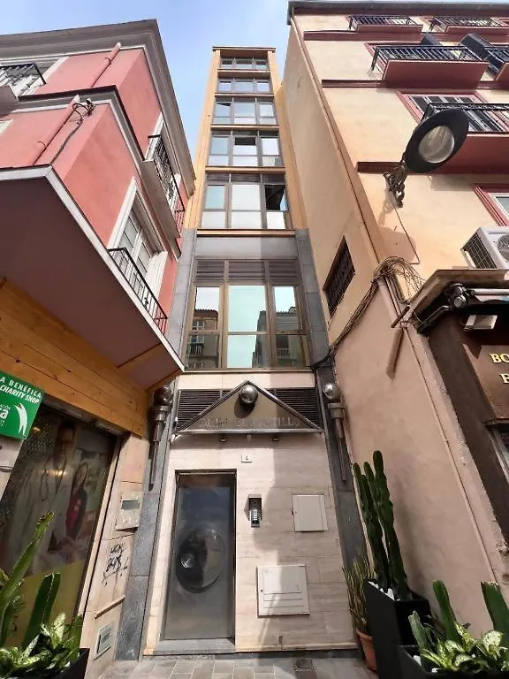 Ilustre Rooms Malaga